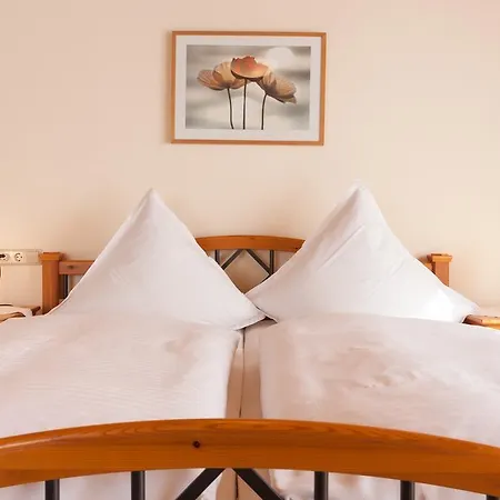 Haus Kesper-brunen Guest house Willingen (Upland)