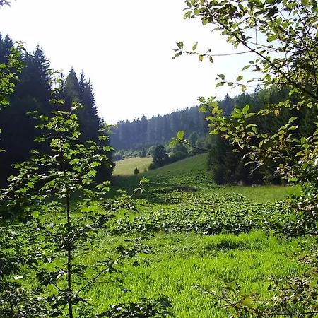 Guest house Haus Kesper-brunen 3*