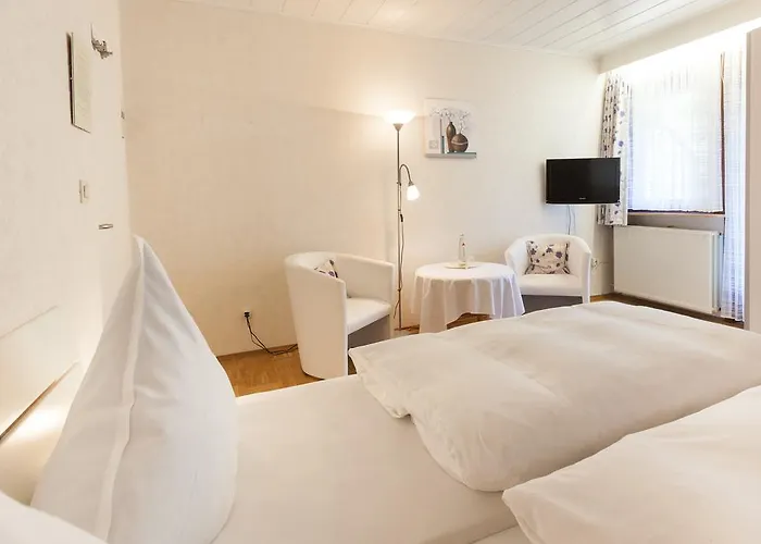 Penzion Haus Kesper-brunen 3*