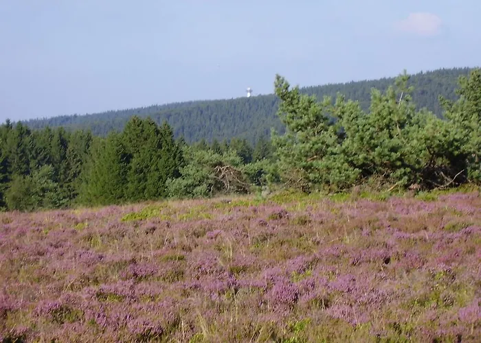 Haus Kesper-brunen Penzion