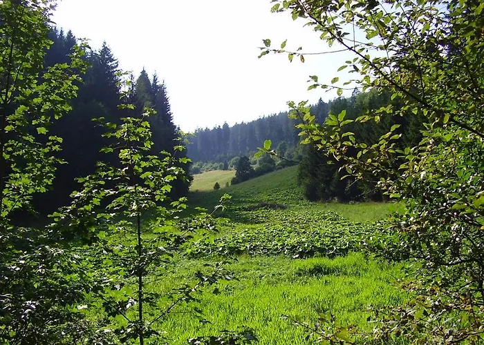 Penzion Haus Kesper-brunen 3*